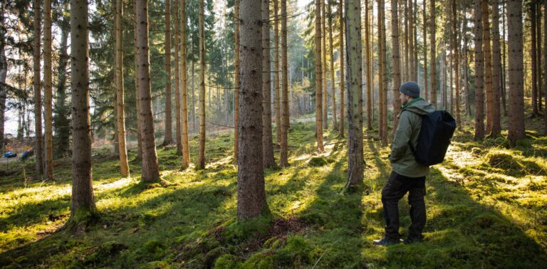 Ein Teilnehmer des Canoë Trips - 3 Tage mitten im schwedischen Wald